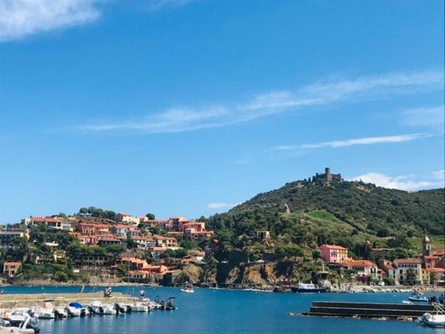 Villa Confort Et Cosy 20 Minutes D'Espagne Plage d'Argeles Экстерьер фото